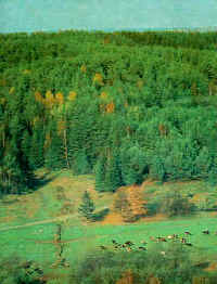 Click on the photo for a larger version