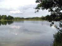 Click on the photo for a larger version